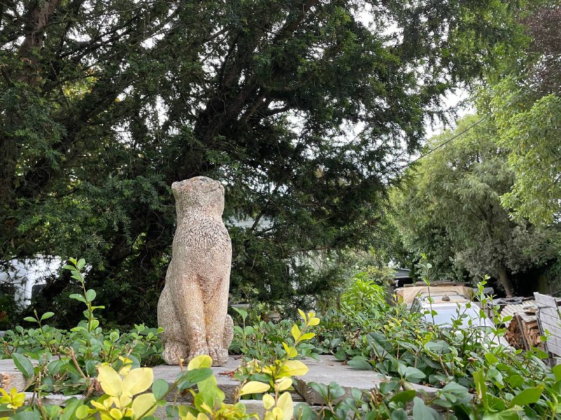 还是这只小猫，Eric 借他的身高优势，帮我拍到了小猫雕像的脚