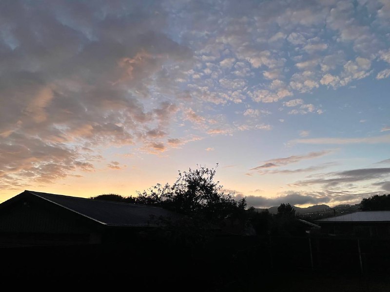 Morning today