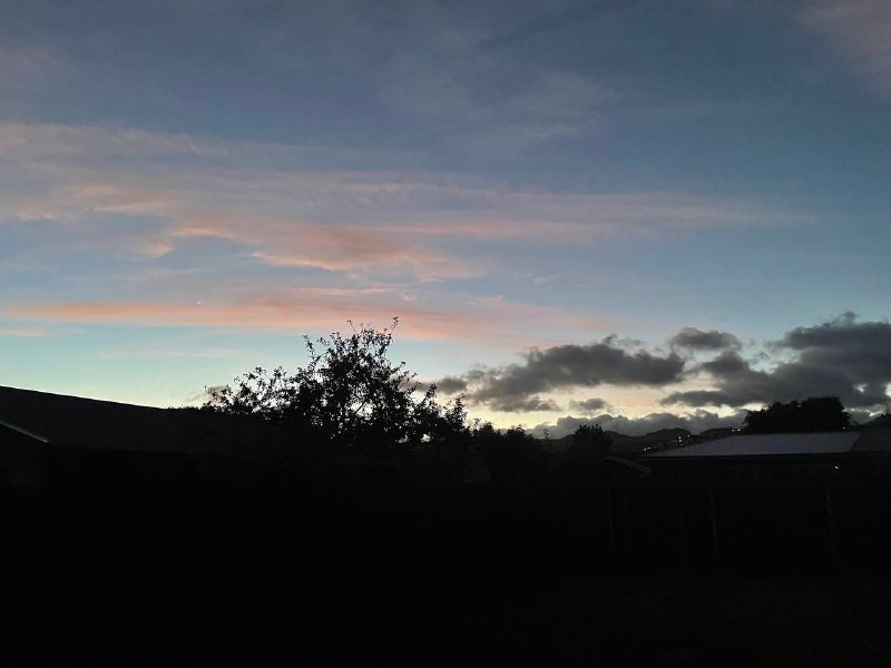 morning from yesterday